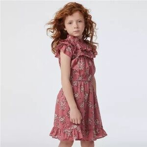 Janie And Jack THE MARKET BLOOM DRESS Mauvewood Floral Size 5